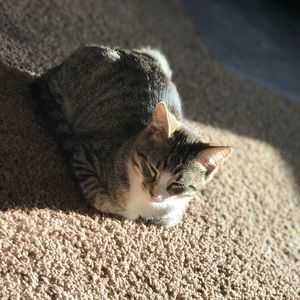 Meet your Posher, Kaitlyn